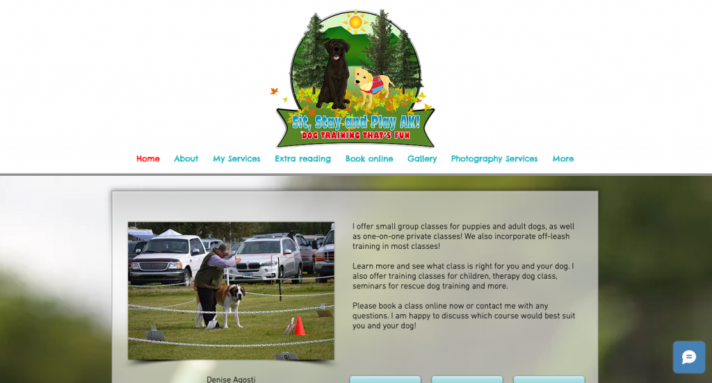 Sit Stay and Play Ak website capture showing their company logo and the company owner training a dog in a park.